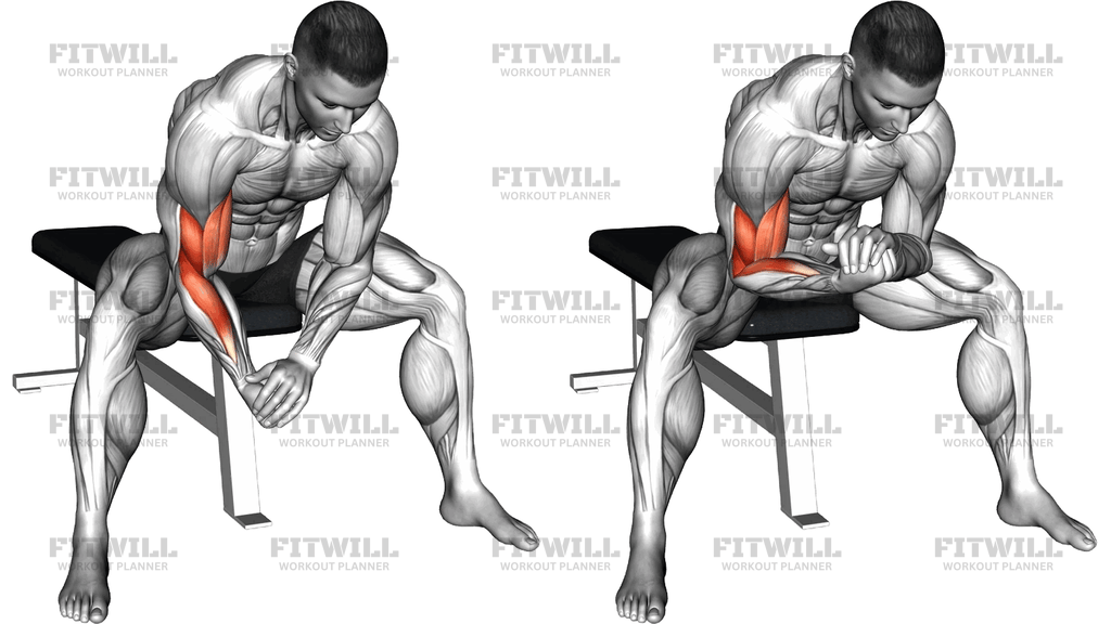Bodyweight Seated Single Arm Concentration Curl