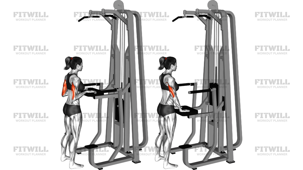 Lever Assisted Triceps Pushdown