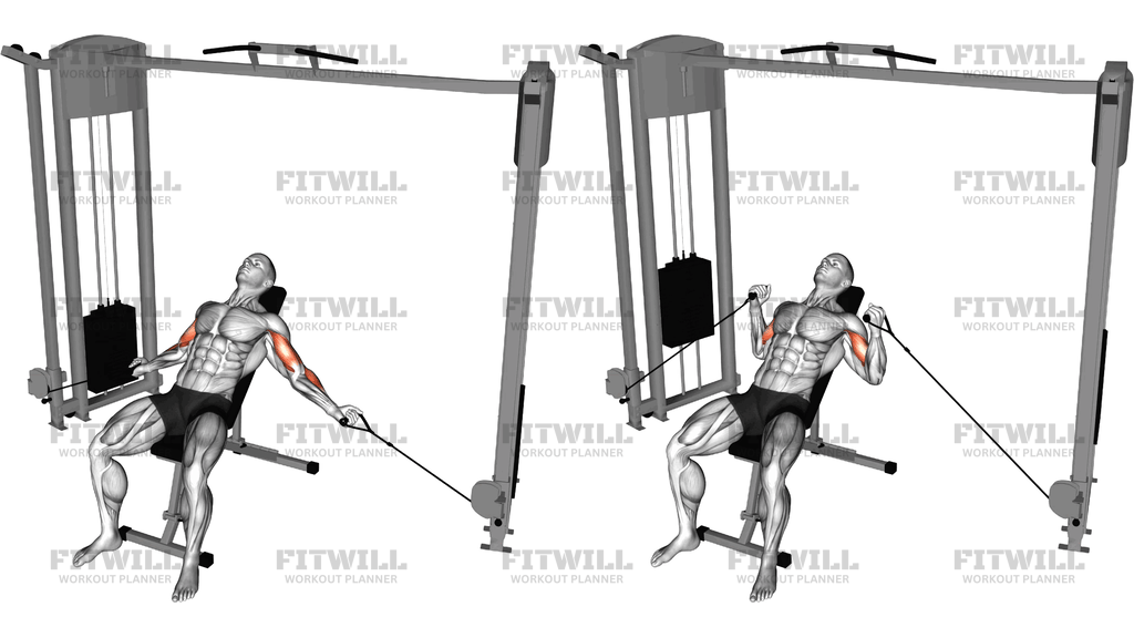 Cable Incline Inner Biceps Curl