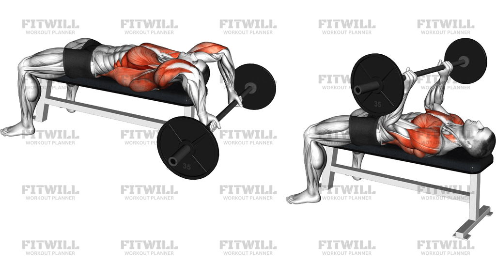 Barbell Pullover With Bench Press
