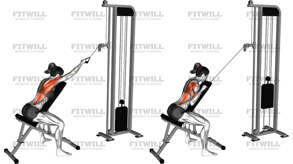 Cable Incline Single Arm Lat Pulldown