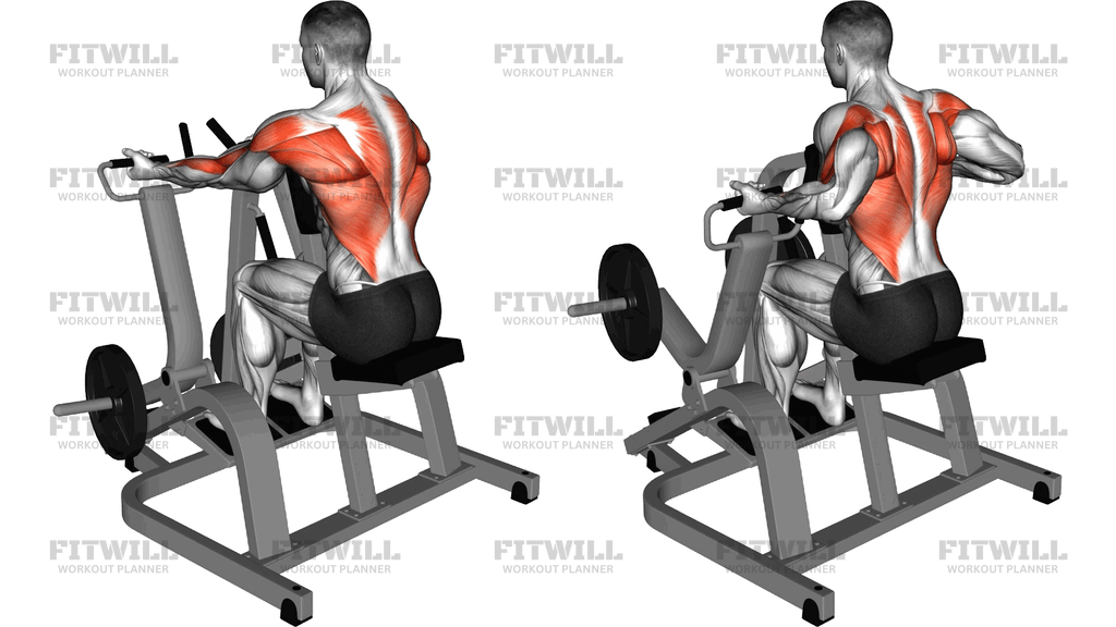 Lever Supinated Grip Seated Row (Plate Loaded)