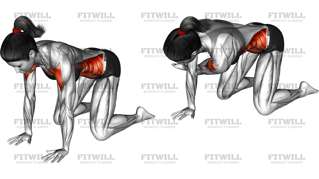 Kneeling Spine Imbalance And Pelvic Imbalance