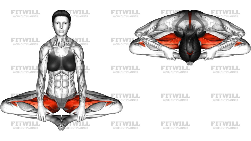 Baddha Konasana Flow Pose