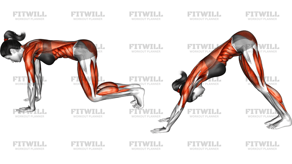 Tabletop To Downward Facing Dog Pose