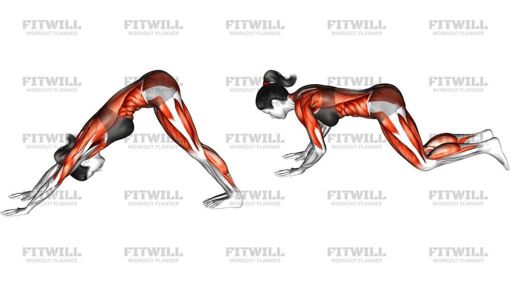 Downward Dog To Chaturanga Pose