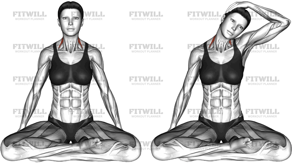 Seated Neck Stretch