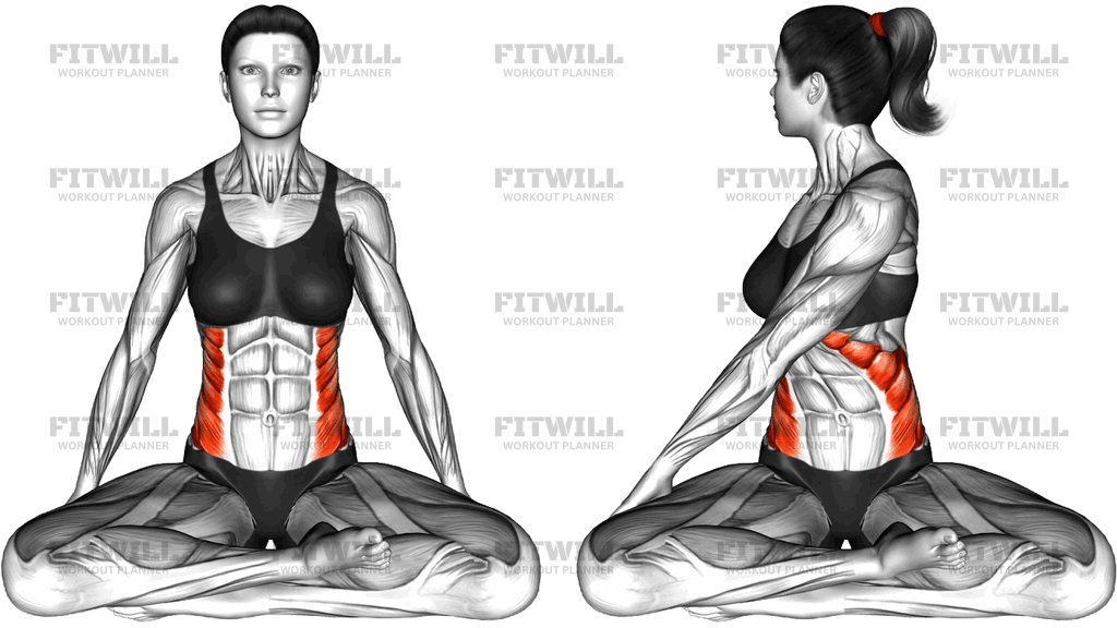 Seated Twist Stretch