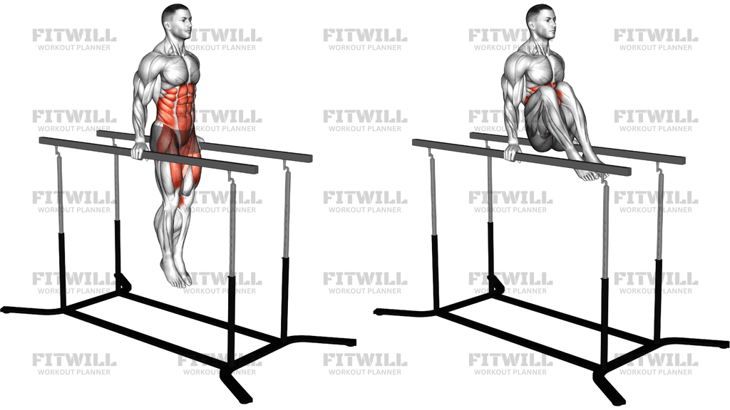 Hanging Oblique Knee Raise On Parallel Bars