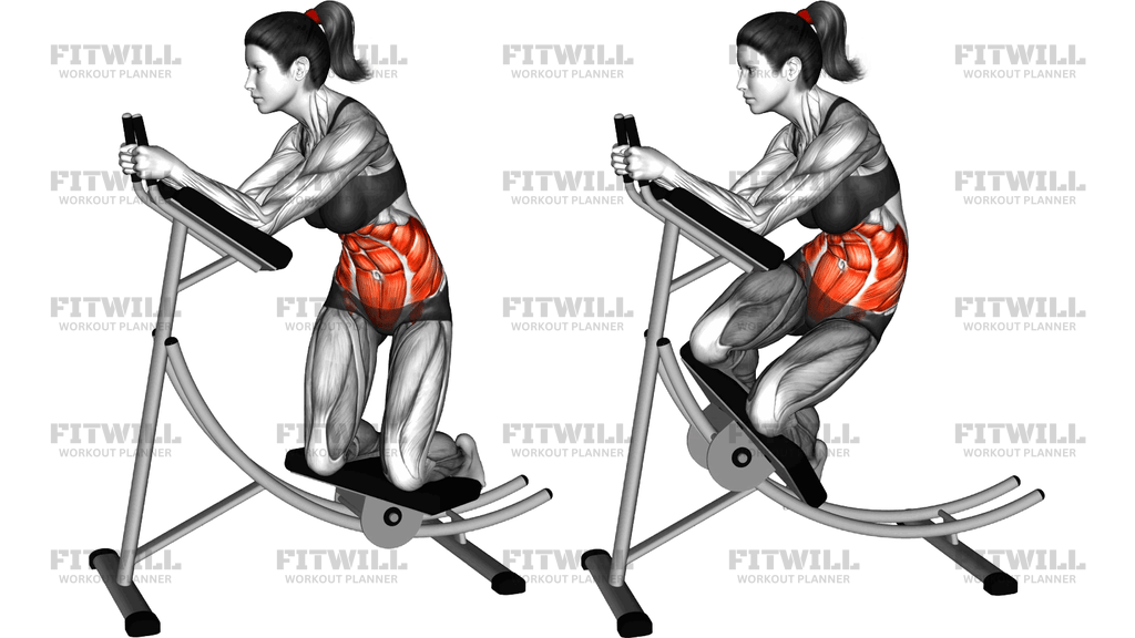 Lever Ab Coaster Oblique Crunch