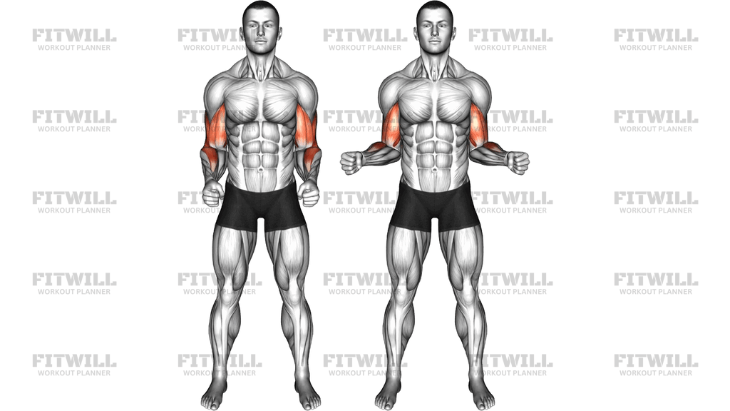 Standing Elbow Circle