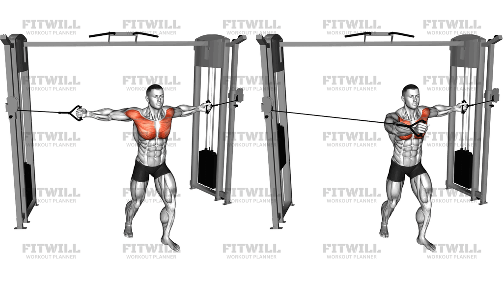 Cable Standing Alternate Chest Fly