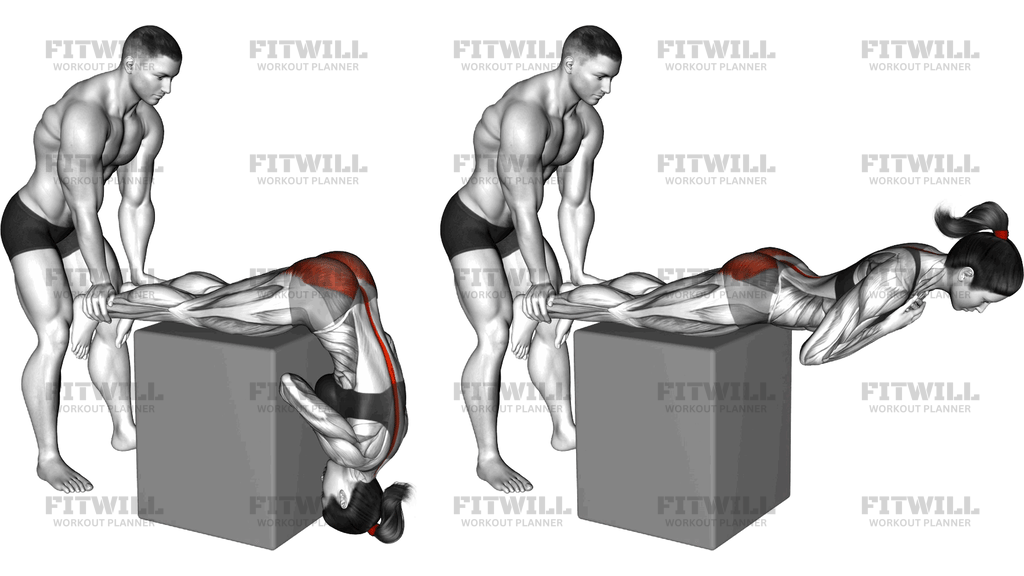 Assisted Hyperextension