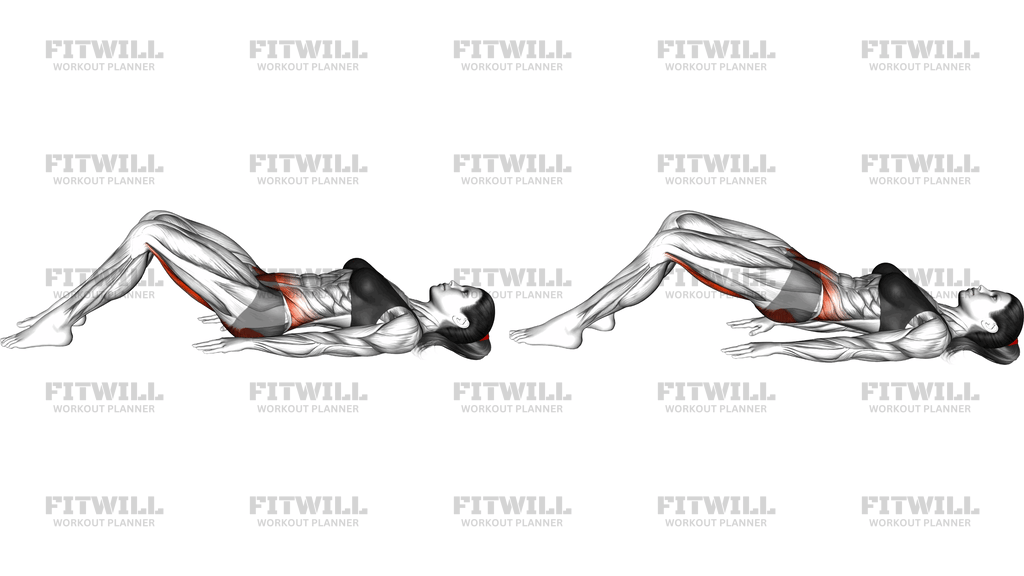 Hamstring Bridge