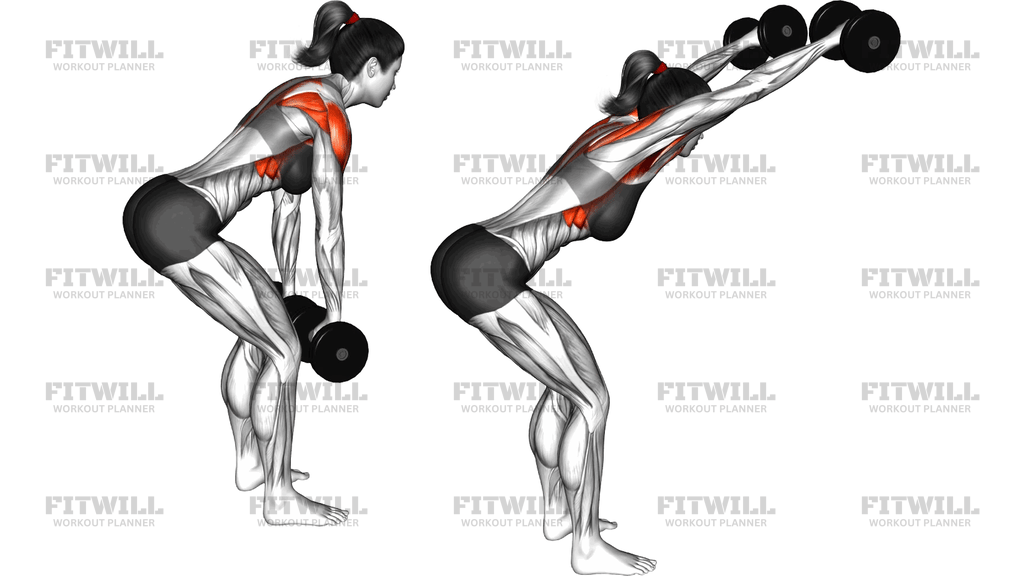 Dumbbell Bent Over Y Raise