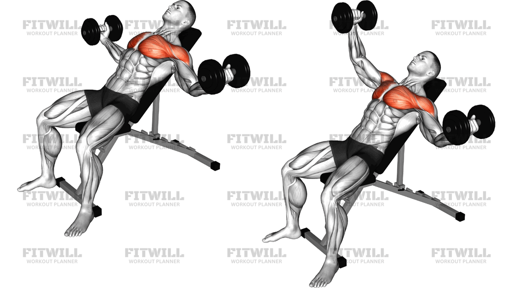 Dumbbell Incline Alternate Fly