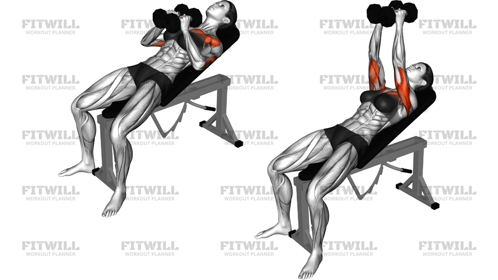 Dumbbell Incline Squeeze Press