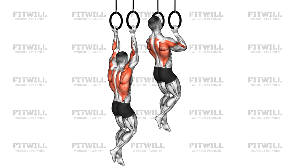 Ring Neutral Grip Chin Up