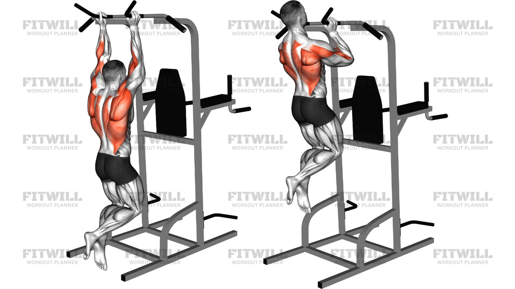 Neutral Grip Chin Up