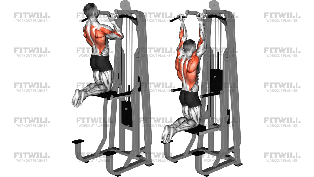 Lever Assisted Neutral Grip Chin Up