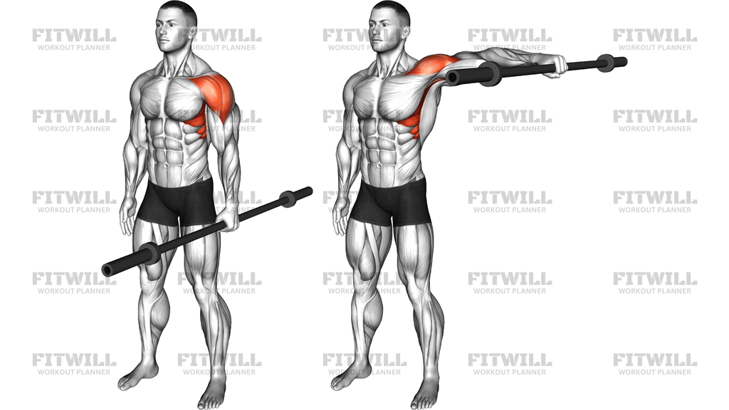 Weighted Bar Standing Lateral Raise