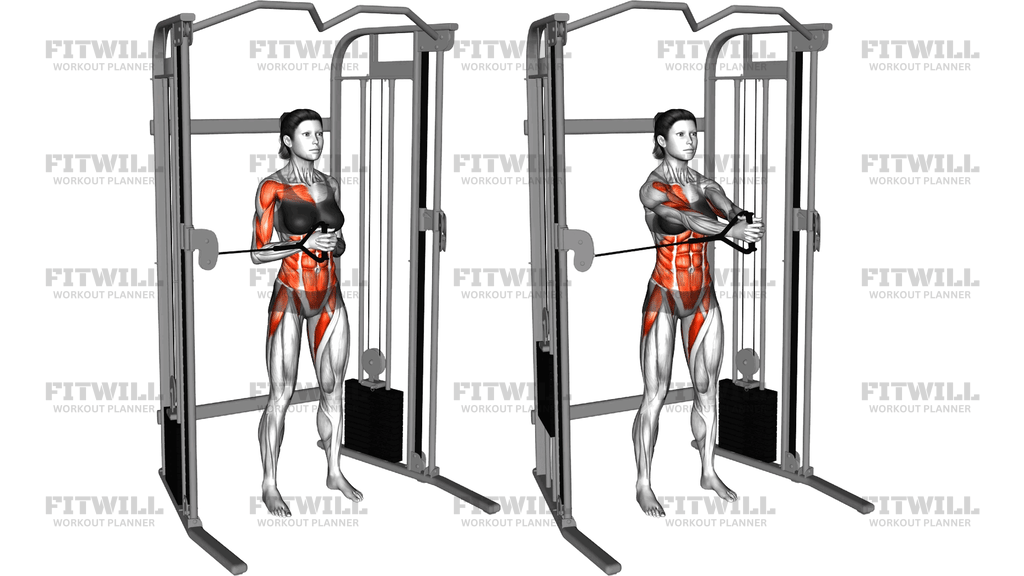 Cable Horizontal Pallof Press