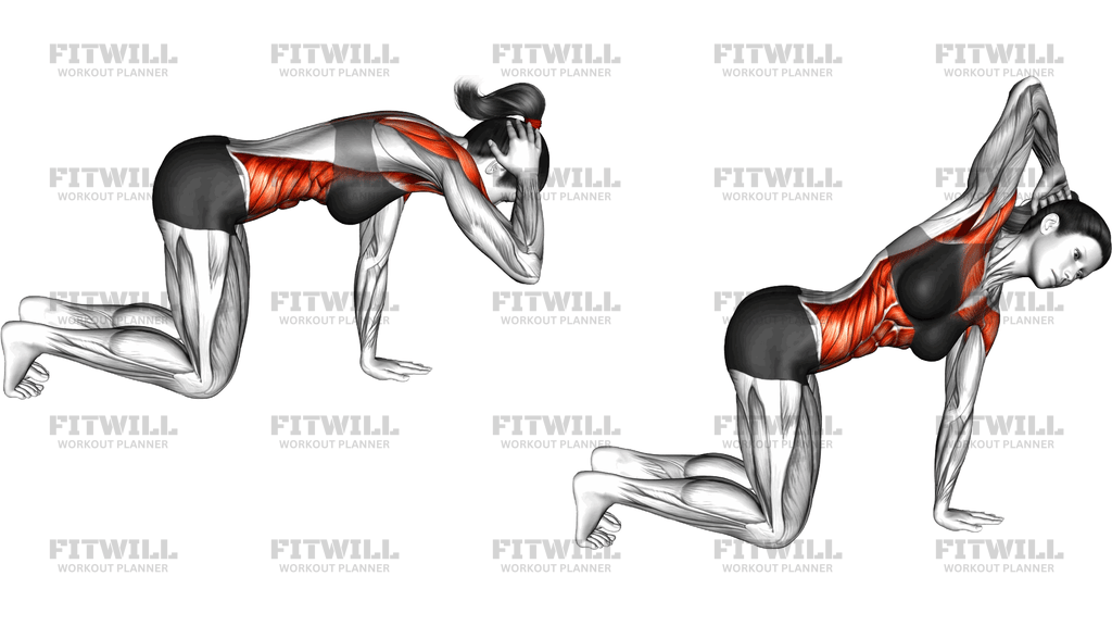 Kneeling Thoracic Rotation