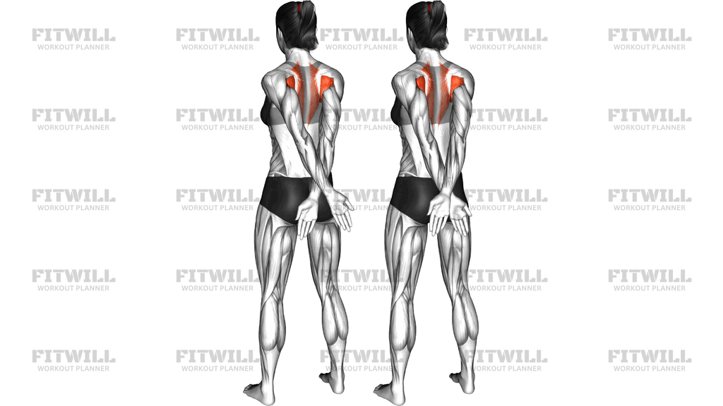 Standing Arm Crossover Behind The Back