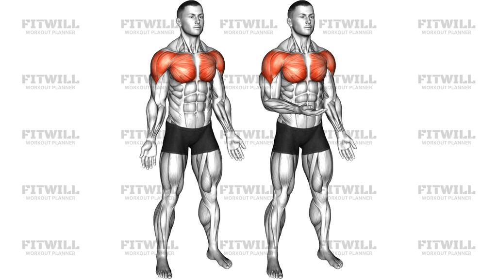 Standing Shoulder Medial And Lateral Rotation