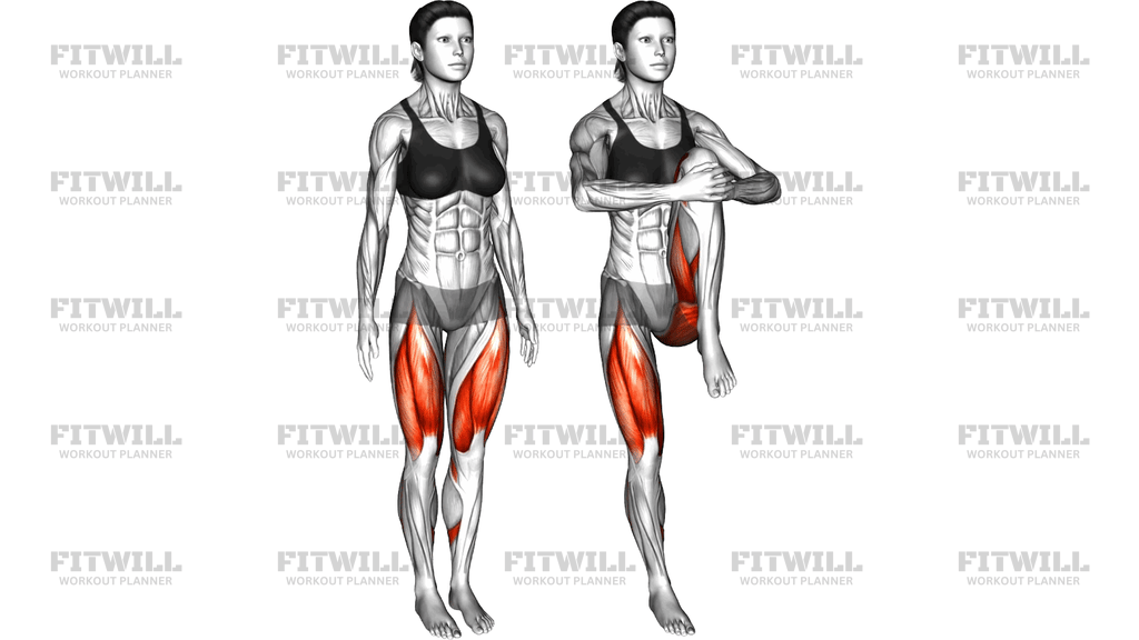 Standing Knee To Chest Stretch