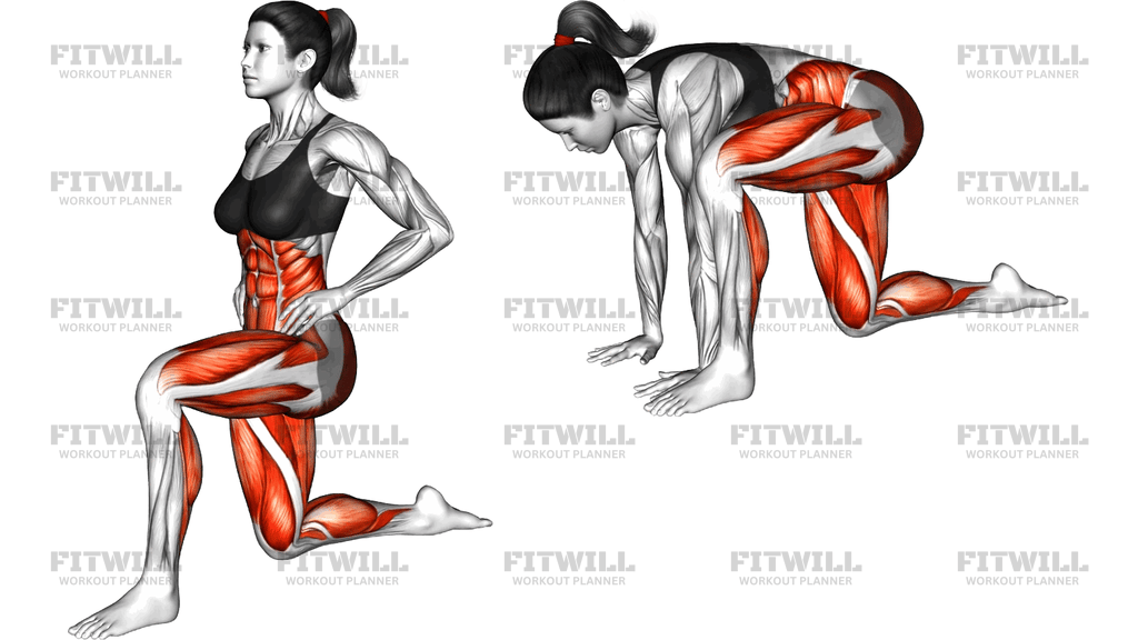 Lizard Lunge (Beginner)