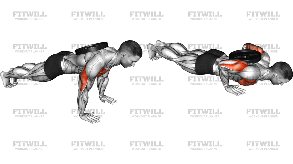 Weighted Plate Push Up
