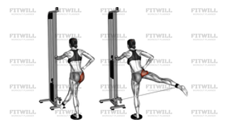 Cable Straight Leg Diagonal Kickback