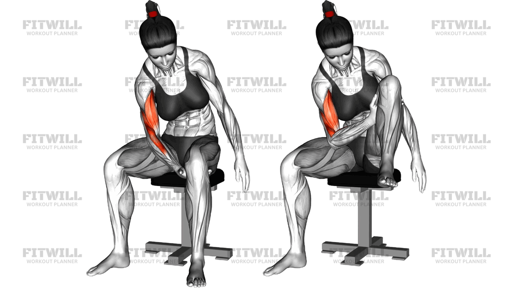 Negative Biceps Leg Concentration Curl