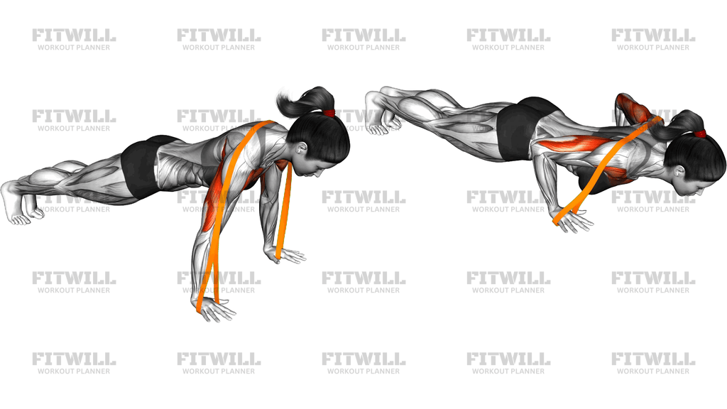 Resistance Band Push Up