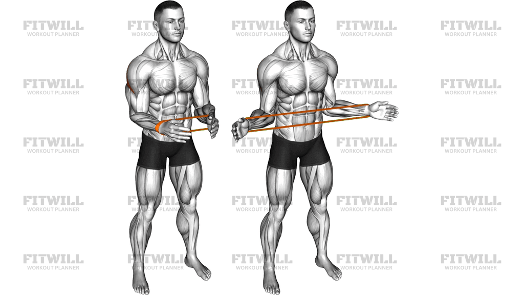 Resistance Band Standing External Rotation