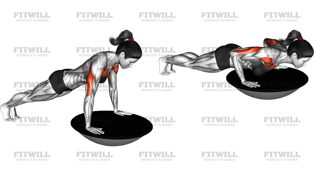 Push Up (Bosu Ball)