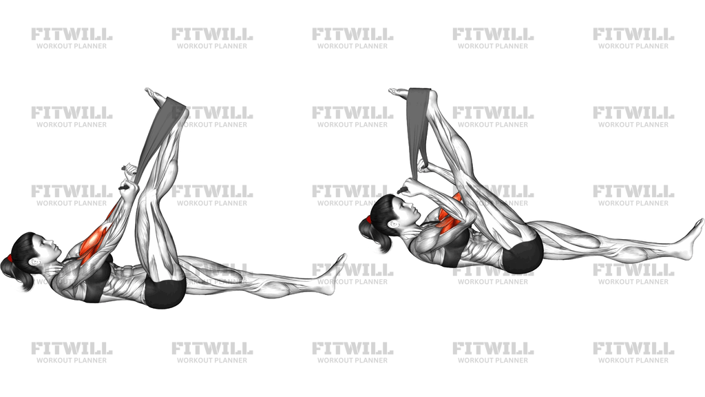 Lying Biceps Curl With Towel