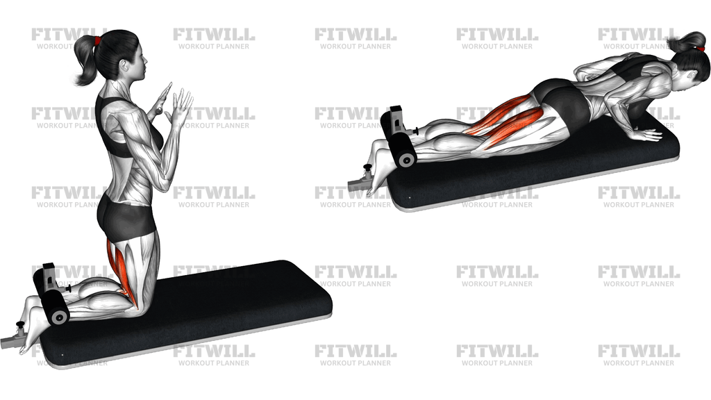 Inverse Leg Curl With Bench Pads