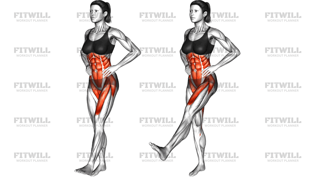 Standing Balance Hip Flexion Pulse