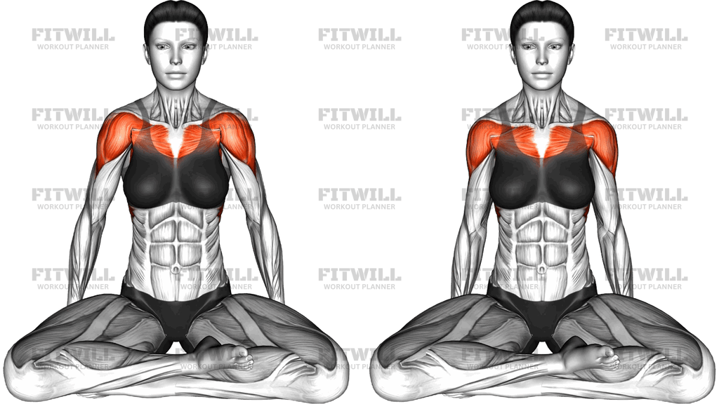 Seated Scapular Rotation