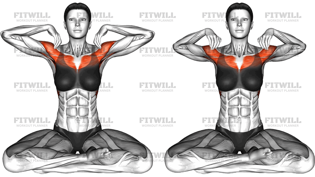 Seated Shoulder Rotation