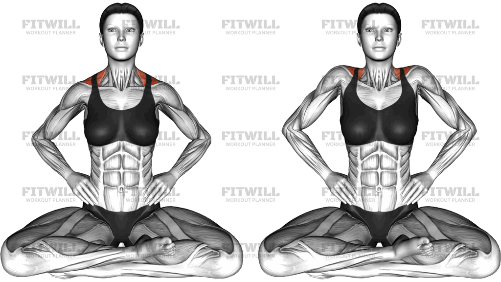 Seated Shoulder Shrug