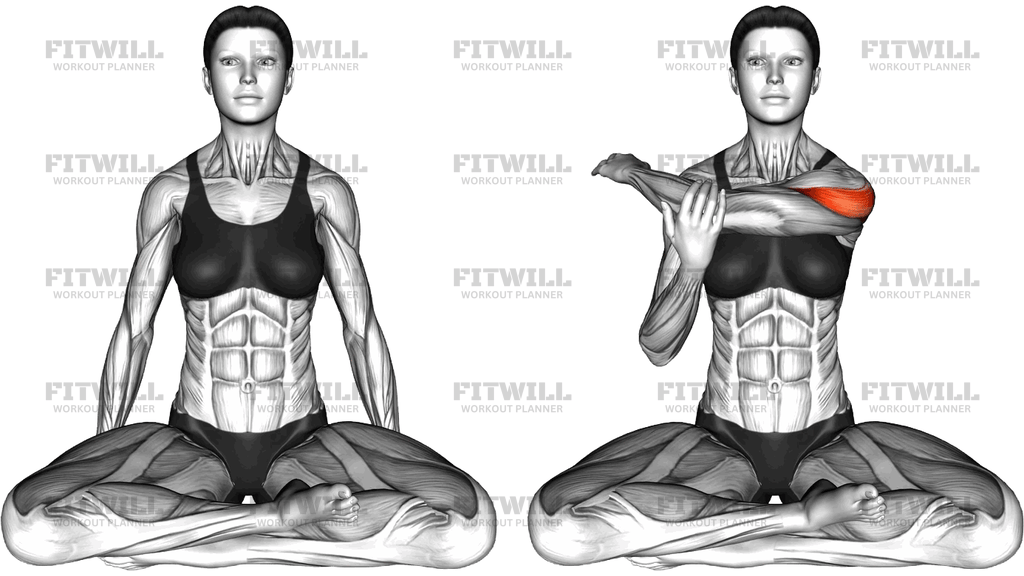Seated Cross Body Stretch