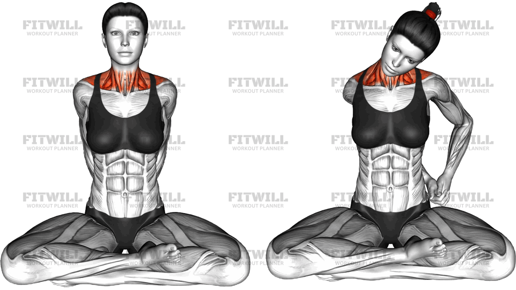 Seated Deep Neck Stretch