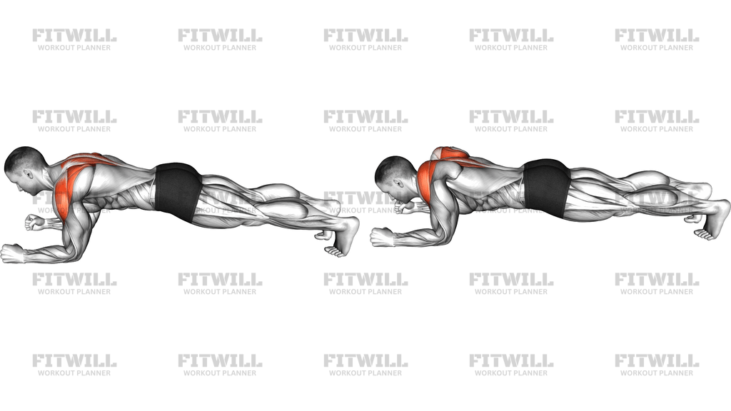 Plank Scapular Push Up
