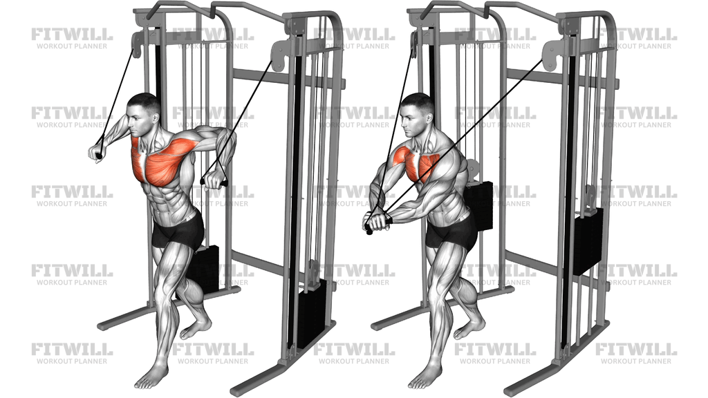 Cable Standing Crossover