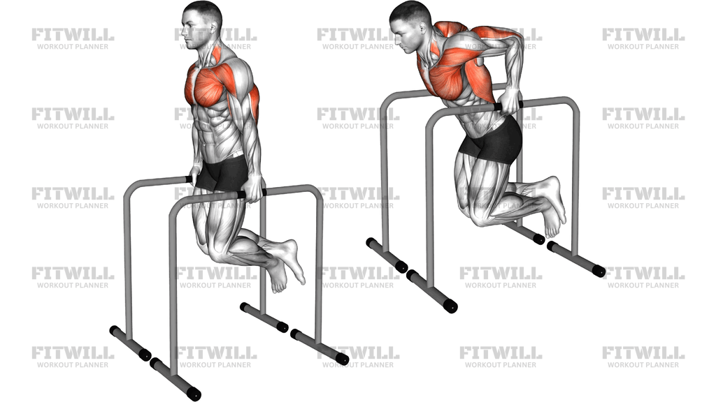 Triceps Dip On High Parallel Bars