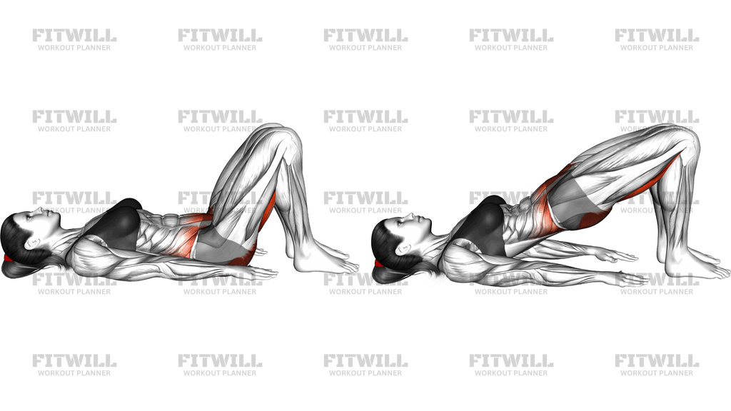 Bridge Yoga Pose Setu Bandha Sarvangasana