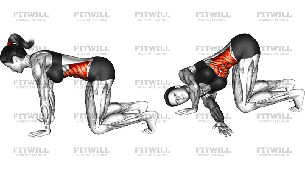 Kneeling Rotation Torso Thread Through